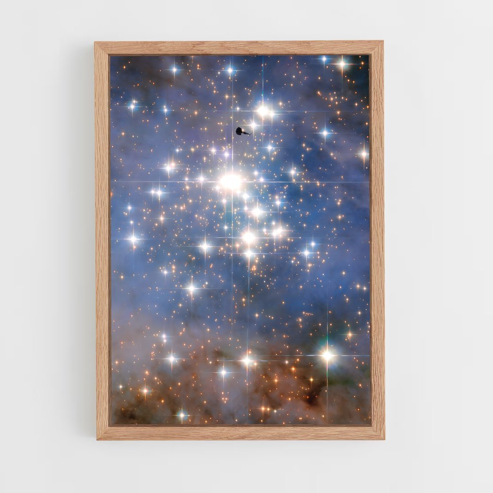 Poster Oiseau des Étoiles (vue 4)